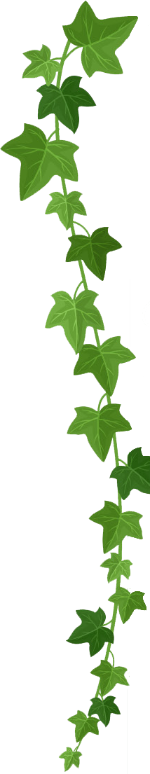 leaves.png